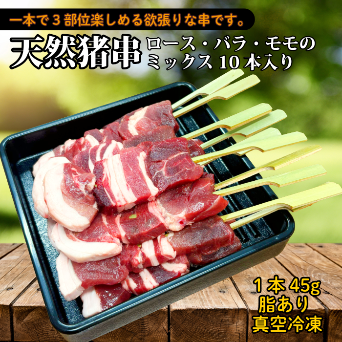 みなみの猪串ミックス 45g10本入 真空冷凍
