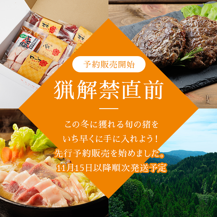 ★予約商品★岡県新見産イノシシ肉　ローススライス　100g